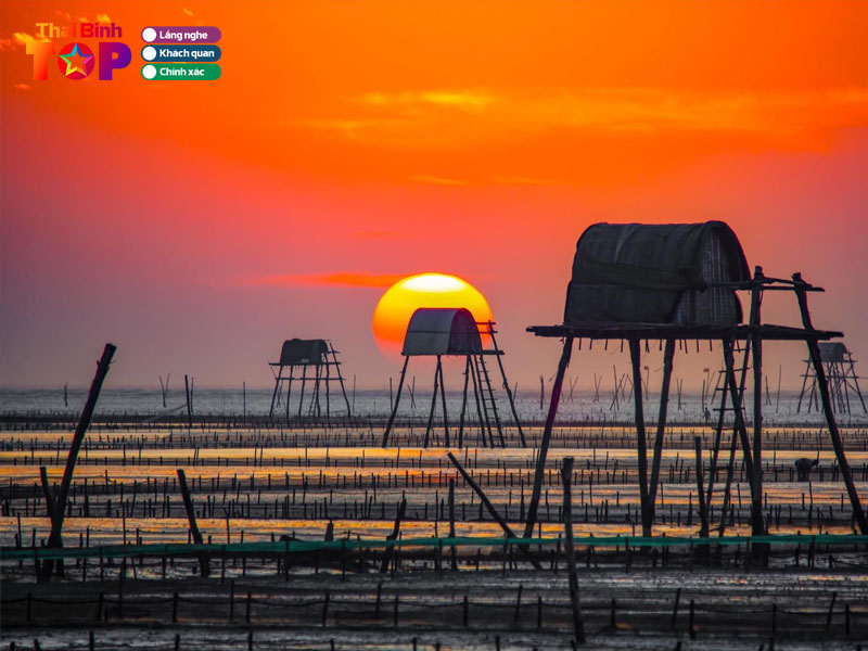 gioi-thieu-ve-bai-bien-dong-chau-thai-binh-thaibinhtoplist