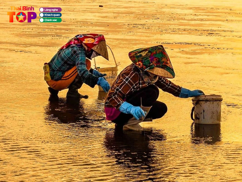 trai-nghiem-van-hoa-danh-bat-cua-ba-con-tai-bien-thaibinhtoplist