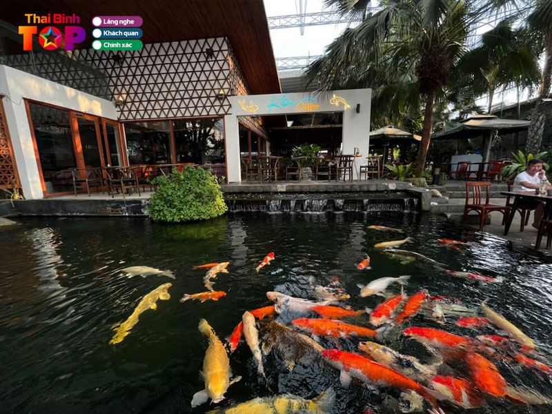 vi-sao-cafe-ca-koi-duoc-yeu-thich-thaibinhtoplist