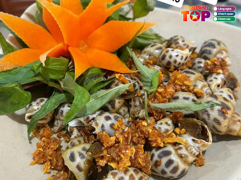 Huong-oc-co-so-3-thaibinhtoplist
